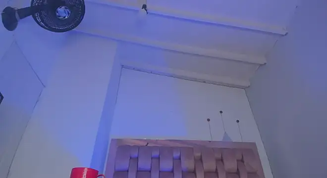 swt-booty online show from 12-11-24, 05:48