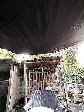 MS Isabella Snow92 online show from 02-22-25, 10:42