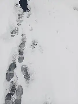 Saysomething3 online show from 01-11-26, 07:57