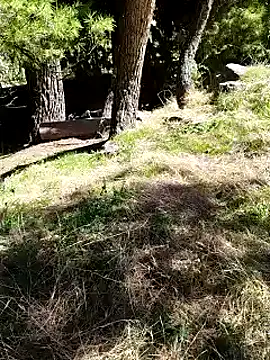 Snapshot of K-27 chatting on 10-04-25, 10:24 K-27 online show from 10-04-25, 10:24