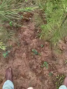 Snapshot of Gopal1243 chatting on 12-09-24, 03:29 Gopal1243 online show from 12-09-24, 03:29