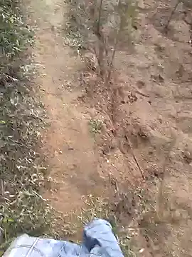 Snapshot of Gopal1243 chatting on 01-19-25, 01:53 Gopal1243 online show from 01-19-25, 01:53