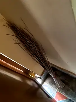 Snapshot of Gopal1243 chatting on 01-21-25, 03:37 Gopal1243 online show from 01-21-25, 03:37