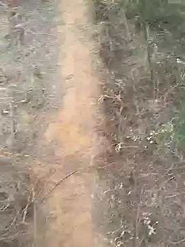 Snapshot of Gopal1243 chatting on 02-10-25, 02:08 Gopal1243 online show from 02-10-25, 02:08