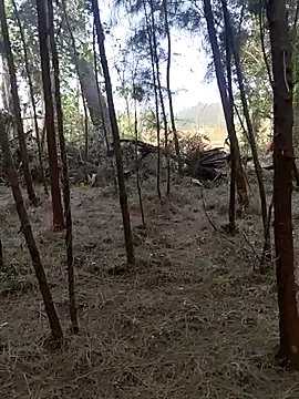 Snapshot of Gopal1243 chatting on 02-26-25, 02:15 Gopal1243 online show from 02-26-25, 02:15