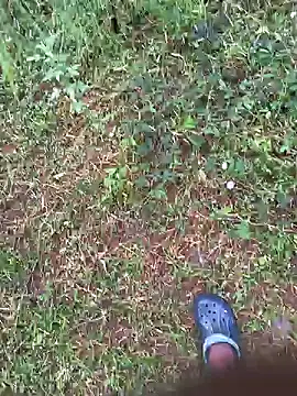 Snapshot of Gopal1243 chatting on 10-27-25, 01:31 Gopal1243 online show from 10-27-25, 01:31