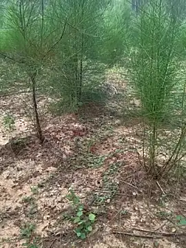 Snapshot of Gopal1243 chatting on 11-24-25, 02:11 Gopal1243 online show from 11-24-25, 02:11