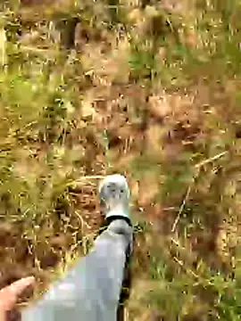 Snapshot of Gopal1243 chatting on 01-07-26, 07:55 Gopal1243 online show from 01-07-26, 07:55