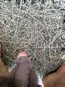 Snapshot of Gopal1243 chatting on 02-19-26, 08:10 Gopal1243 online show from 02-19-26, 08:10