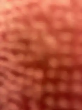 BigFineSelena online show from 01-11-25, 03:09