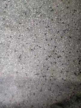 Snapshot of Rajibsorkar20 chatting on 01-16-25, 09:19 Rajibsorkar20 online show from 01-16-25, 09:19