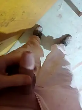 GeilerSchweizer online show from 01-29-25, 03:37