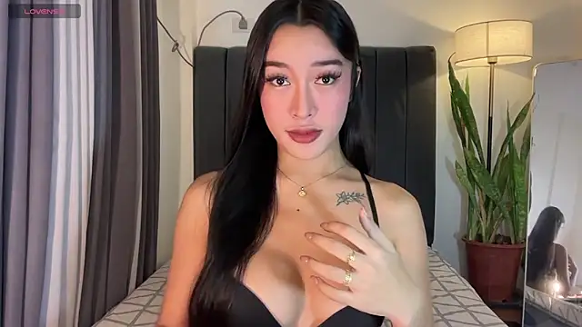 wiggle nibble online show from 11-23-25, 05:57