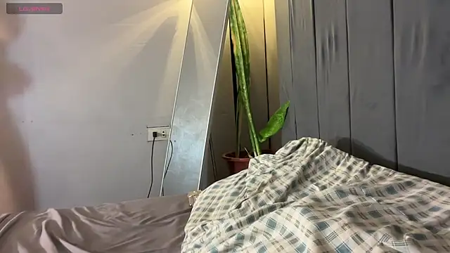 wiggle nibble online show from 01-17-26, 07:28