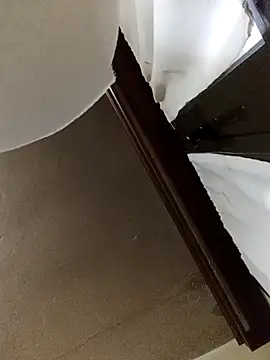 White rabbit  online show from 12-11-24, 04:53