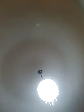 White rabbit  online show from 02-26-25, 07:16