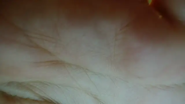 Sassy Latina online show from 01-12-26, 03:01