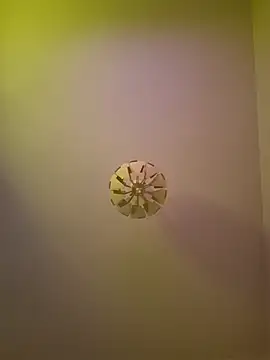 cuci45 online show from 10-11-25, 06:28