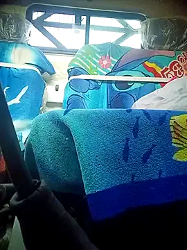 Snapshot of Driver-naru chatting on 02-13-25, 08:38 Driver-naru online show from 02-13-25, 08:38