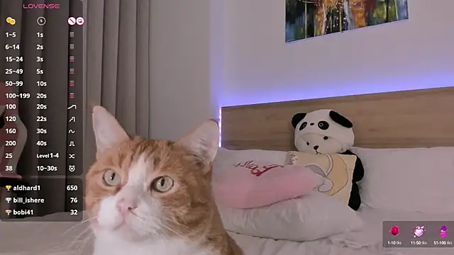 Snapshot of Lenstardi chatting on 02-15-25, 09:15 Lenstardi online show from 02-15-25, 09:15