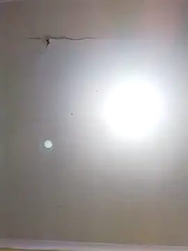 Snapshot of DangerousSafari chatting on 11-03-25, 02:29 DangerousSafari online show from 11-03-25, 02:29