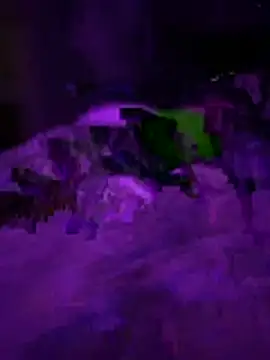 Themechanic420 online show from 02-01-26, 02:37