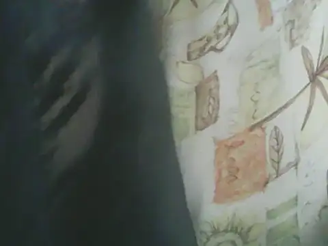 deluxpussy online show from 11-08-25, 06:24