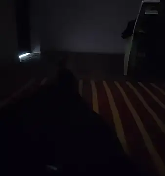 sandy-006 online show from 11-14-25, 10:36