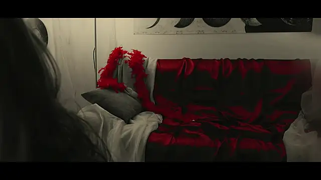 WebCora online show from 01-17-25, 06:02