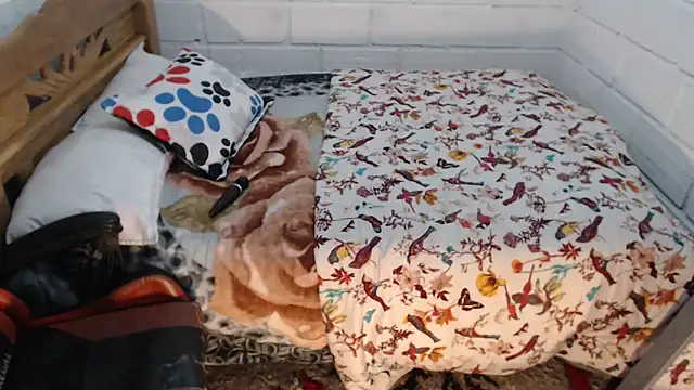 sexyjustin202 online show from 12-19-25, 09:55