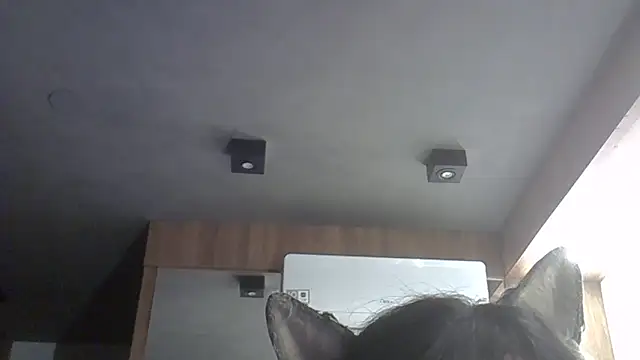 Snapshot of Skinny-Kitten chatting on 02-11-26, 12:04 Skinny-Kitten online show from 02-11-26, 12:04