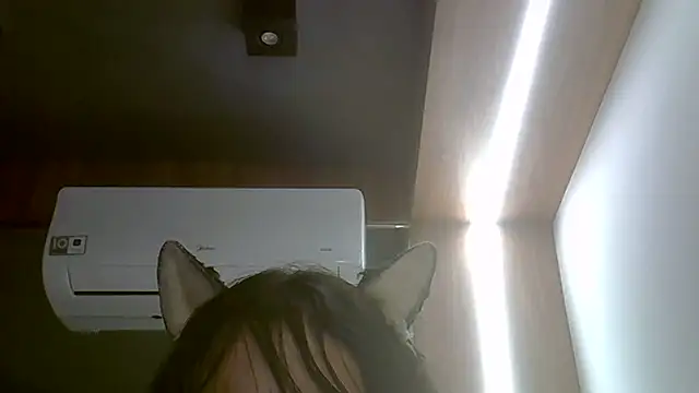 Snapshot of Skinny-Kitten chatting on 02-13-26, 01:34 Skinny-Kitten online show from 02-13-26, 01:34