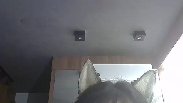 Snapshot of Skinny-Kitten chatting on 02-14-26, 01:57 Skinny-Kitten online show from 02-14-26, 01:57