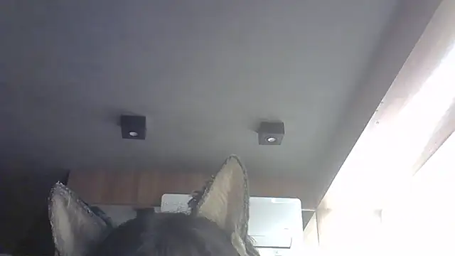 Snapshot of Skinny-Kitten chatting on 02-14-26, 02:03 Skinny-Kitten online show from 02-14-26, 02:03