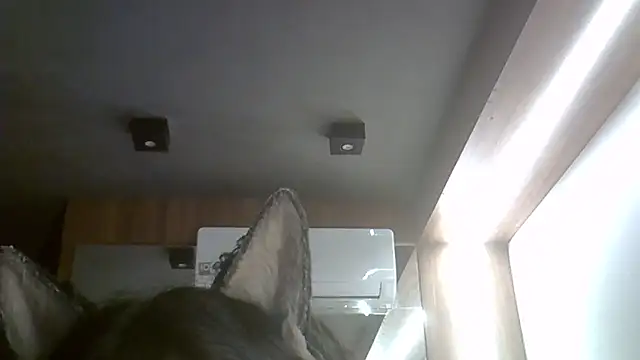 Snapshot of Skinny-Kitten chatting on 02-15-26, 02:19 Skinny-Kitten online show from 02-15-26, 02:19