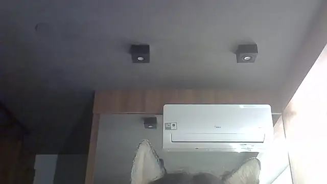 Snapshot of Skinny-Kitten chatting on 02-15-26, 07:51 Skinny-Kitten online show from 02-15-26, 07:51