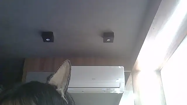 Snapshot of Skinny-Kitten chatting on 02-17-26, 01:40 Skinny-Kitten online show from 02-17-26, 01:40