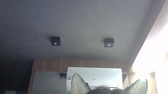 Snapshot of Skinny-Kitten chatting on 02-22-26, 02:45 Skinny-Kitten online show from 02-22-26, 02:45