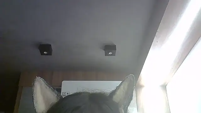 Snapshot of Skinny-Kitten chatting on 03-09-26, 03:43 Skinny-Kitten online show from 03-09-26, 03:43