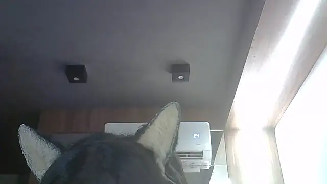 Snapshot of Skinny-Kitten chatting on 03-21-26, 12:10 Skinny-Kitten online show from 03-21-26, 12:10