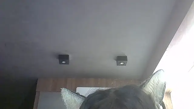 Skinny-Kitten online show from 05-12-26, 11:51