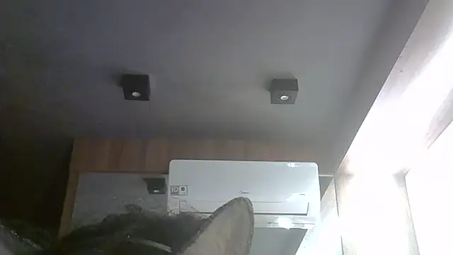 Skinny-Kitten online show from 05-31-26, 08:21