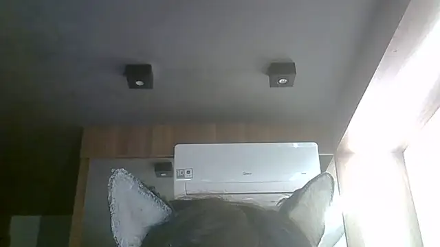 Skinny-Kitten online show from 06-01-26, 03:47
