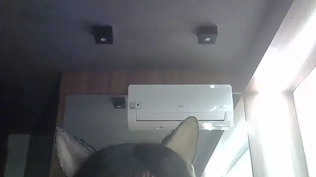 Skinny-Kitten online show from 06-02-26, 03:52