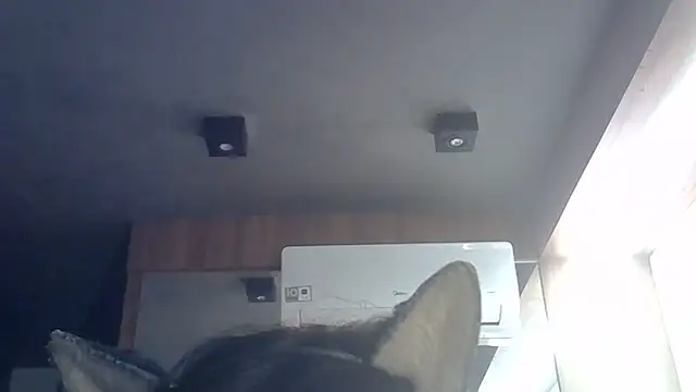 Skinny-Kitten online show from 06-09-26, 09:32