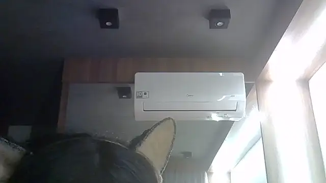 Skinny-Kitten online show from 06-12-26, 11:35