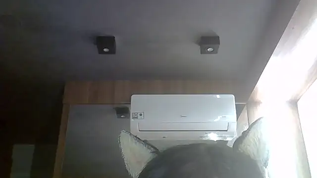 Skinny-Kitten online show from 06-15-26, 08:38