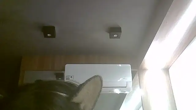 Skinny-Kitten online show from 06-17-26, 03:46