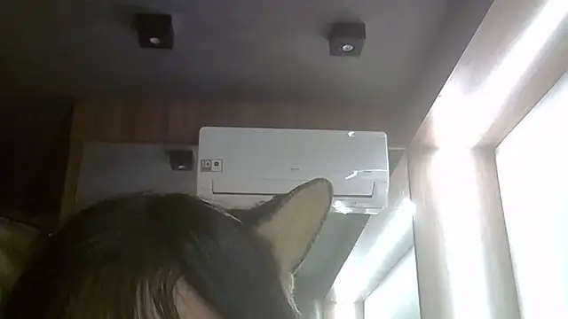 Skinny-Kitten online show from 06-24-26, 01:37