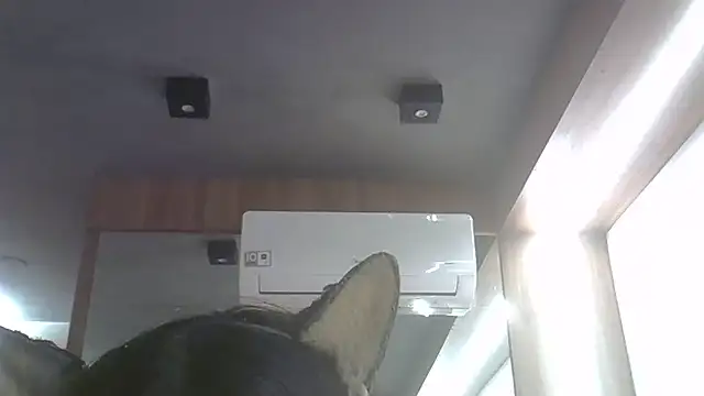 Skinny-Kitten online show from 06-25-26, 11:31
